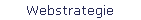 Webstrategie
